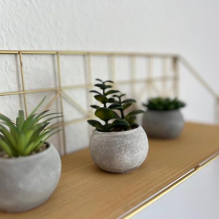 Auszeit Bergliebe Apartment Winterberg Ngoại thất bức ảnh