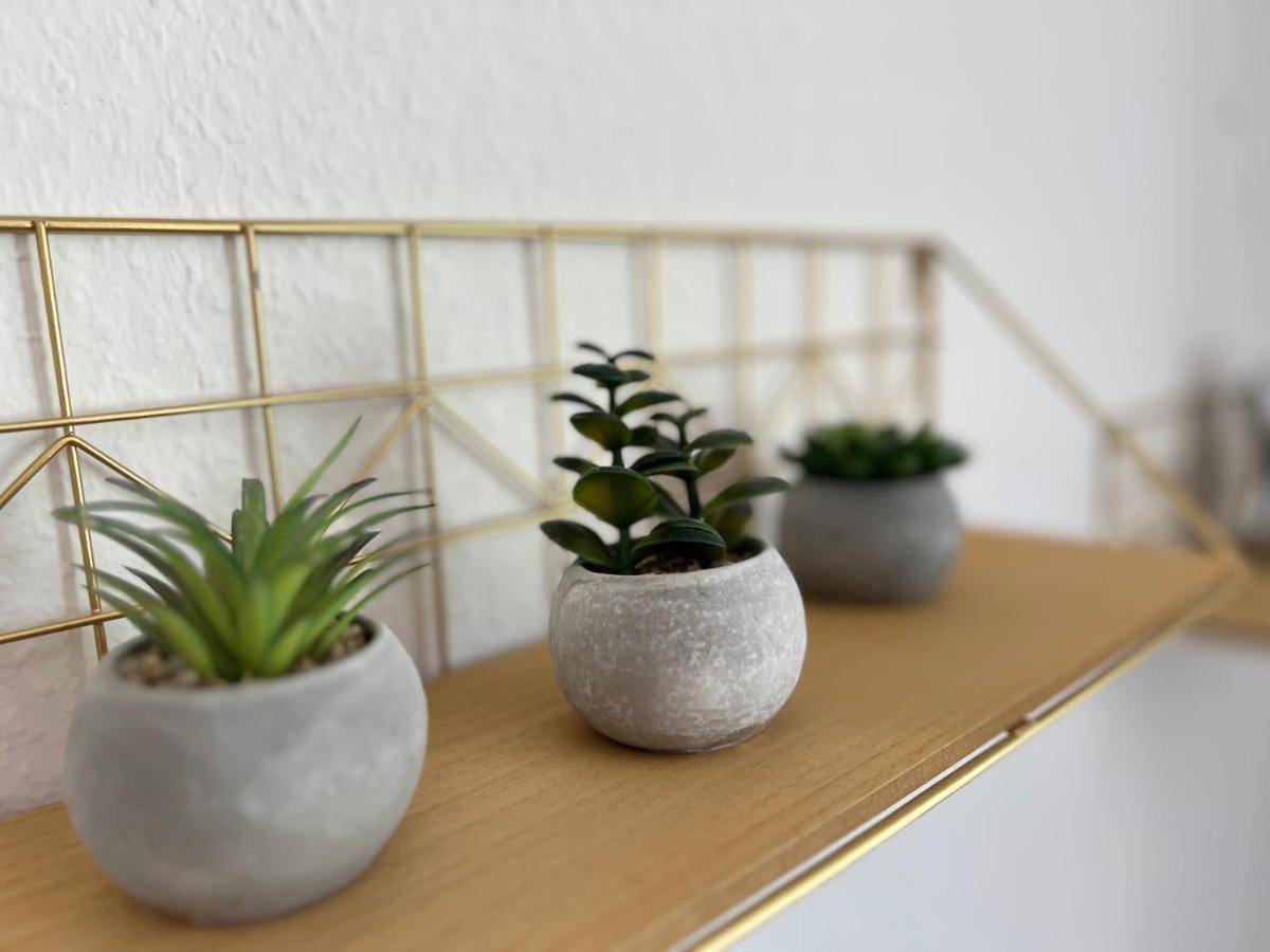 Auszeit Bergliebe Apartment Winterberg Ngoại thất bức ảnh